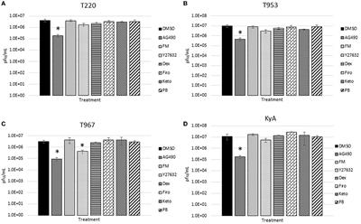 Anti-inflammatory compounds reduce equine herpesvirus type 1 replication and cell-to-cell spread